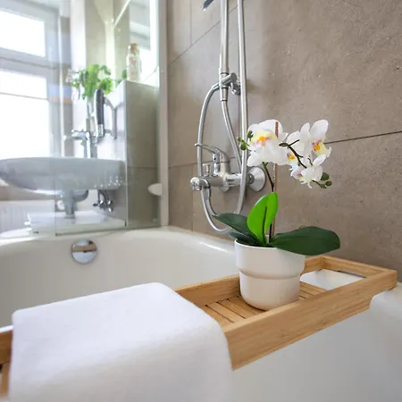 Apartment Luxury Vista I Kueche I Wlan I Smart-tv I Zentral Magdeburg